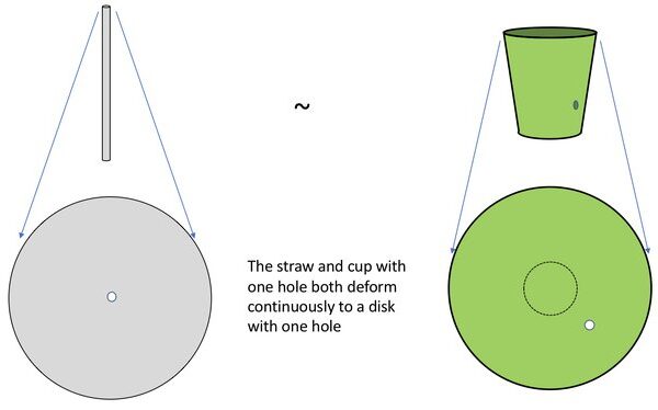 How Many Holes Does a Straw Have